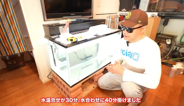 水温合わせに30分、水合わせに40分ほど時間がかかった／リックさん（@aquarium_rick_agguy）提供
