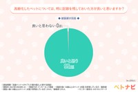 高齢化したペットについては、特に記録を残しておいた方が良いと思いますか？（提供画像）