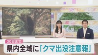 宮城県全域にクマ出没注意報を発表　１０月３０日まで