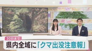宮城県全域にクマ出没注意報を発表　１０月３０日まで