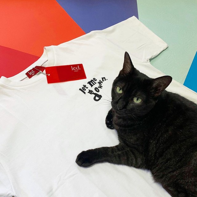 おしゃれなTシャツの上にどっかと乗っかるゆずちゃん＝mosscat25さん提供

