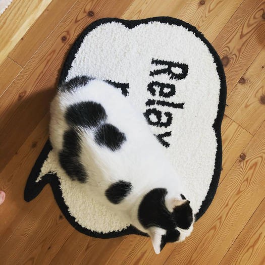 ミックス猫「くるちゃん」。白黒のマットに同化。くるちゃん、どこー？