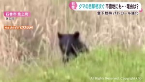 宮城・石巻市でクマの目撃相次ぐ　警察などがパトロールを強化