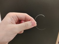 一緒に暮らして6年弱、初めてカールした抜けヒゲをゲット（ゆあさん提供）