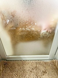 お風呂場で全力拒否する柴犬の豆次郎くん（画像提供：しばわんこさん）