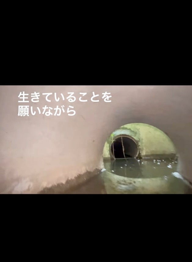 雨が降れば水かさが増す危険な用水路だった（「TetoMoco | 猫活するママの暮らし」さん提供、Instagramよりキャプチャ撮影）