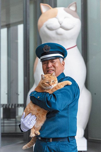 4年前は逃げ逃げだったゴッちゃんもすっかり甘えん坊に