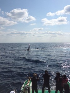 妄想は偉大だ。妄想にこそ創造がある