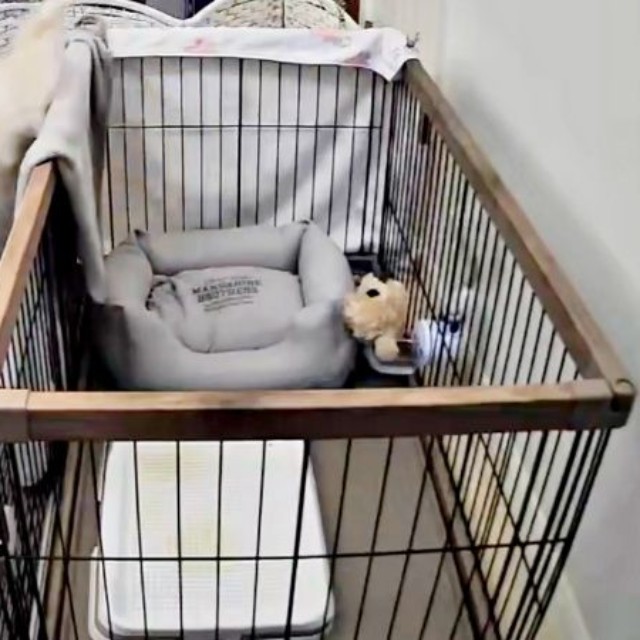 足をバタバタさせる子犬、ついに外へ（画像提供：ふわとろ天使くん）