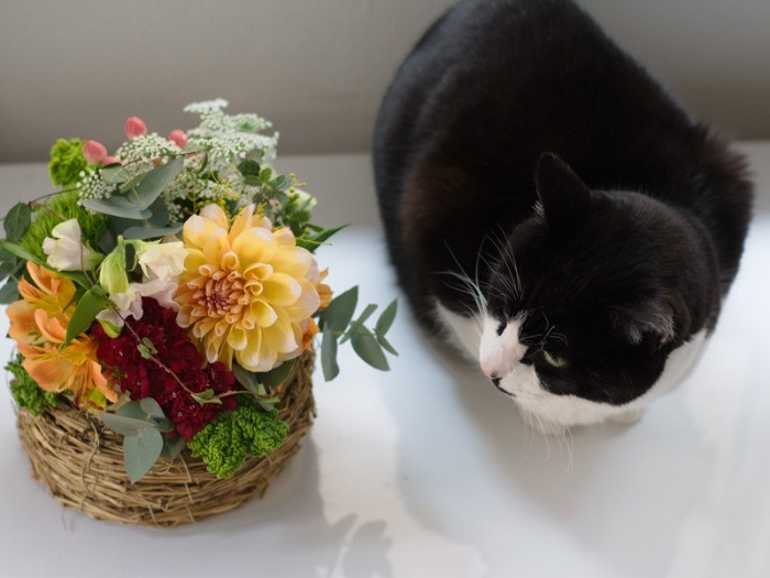 「適度な水分補給は、適度にアイスを食べるのとは違うと思うよ、おばちゃん」（小林写函撮影）