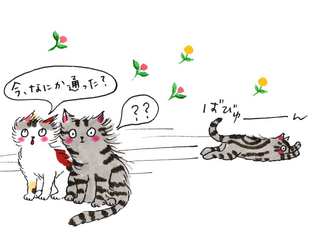 桜、一緒に見ようね」と約束 遊び盛りの猫を失うのは心臓がえぐられる