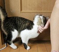 再会できた家族に甘えるシーソーくん