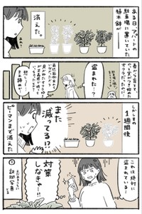【漫画】『スマートタグを使って盗まれた植木鉢を取り返した話』1（いとうみゆきさん提供）