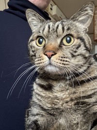 ママっ子だが、パパさんの膝でくつろぐこともある