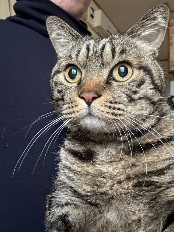 ママっ子だが、パパさんの膝でくつろぐこともある