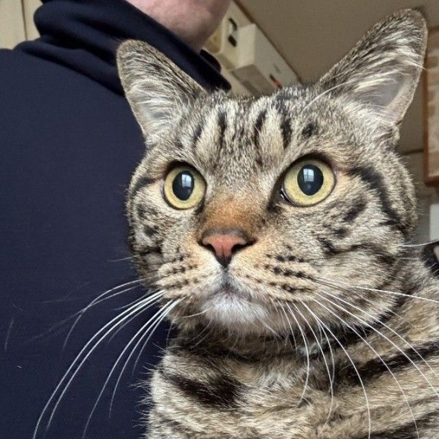 ママっ子だが、パパさんの膝でくつろぐこともある