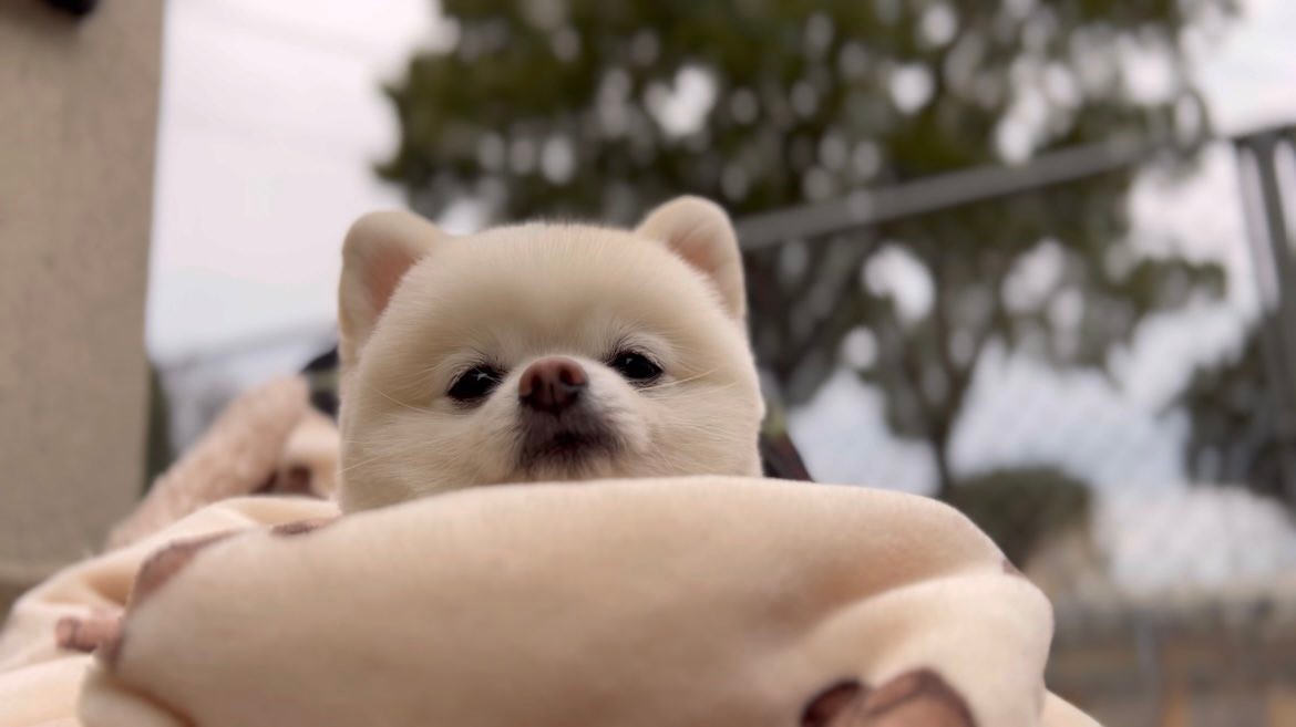 fc76121fffc4c2d2dce9fe63cac7ce