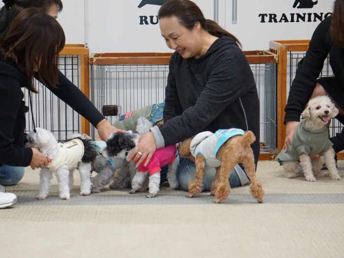 みんなで集まるとワラワラ賑やか