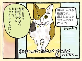 猫をしゃべらせるアプリ　癒やされるはずが、真逆の動画が誕生
