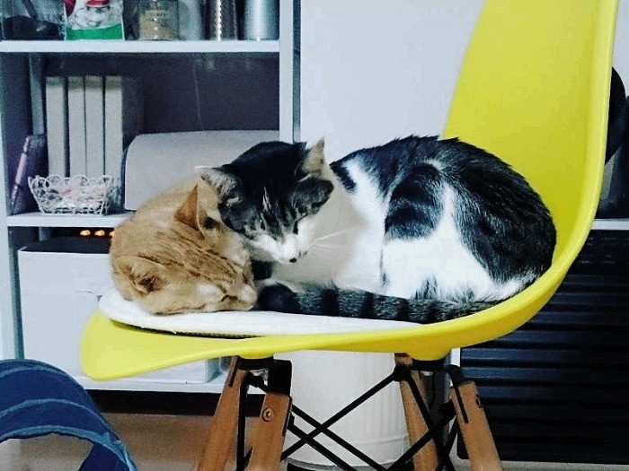 姫お姉ちゃんにぴったり寄り添って