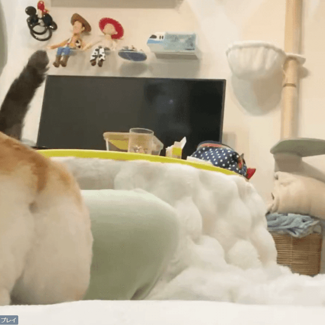 押し倒されるママさん