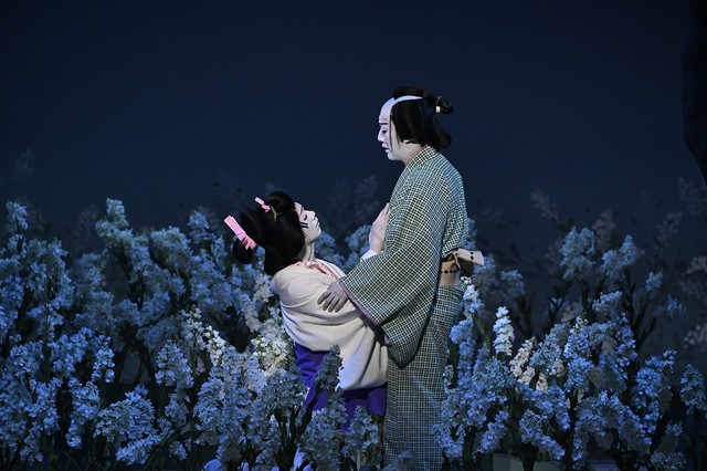 「曽根崎心中物語」桜バージョンのラストシーン＝南座