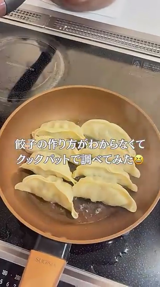 作り方が分からず苦戦したという餃子／YouTubeチャンネル「イサムとみどり」（@ISAMUtoMIDORI）さん提供