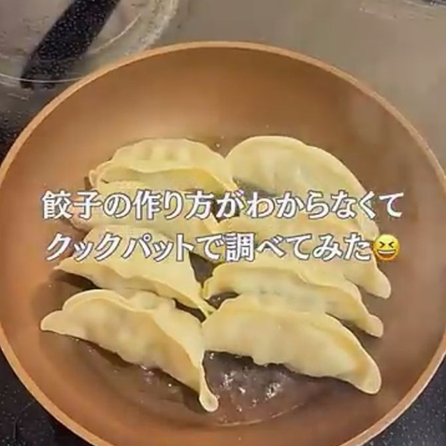 作り方が分からず苦戦したという餃子／YouTubeチャンネル「イサムとみどり」（@ISAMUtoMIDORI）さん提供