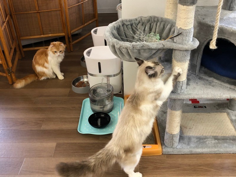 空間はとても清潔に保たれている