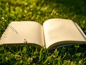 才能がなければ好きなことを捨てるべき？好きだから学ぶ生物学の授業