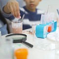 親子で楽しめる！ 自由研究に役立つ図鑑４選