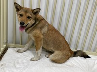 両親から遅れること約2週間。ようやく保護される（写真提供＝エクアルライフ）