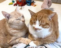 はくくとなぎくん（「ʜᴀᴋᴜ ɴᴀɢɪ」さん提供、Instagramよりキャプチャ撮影）