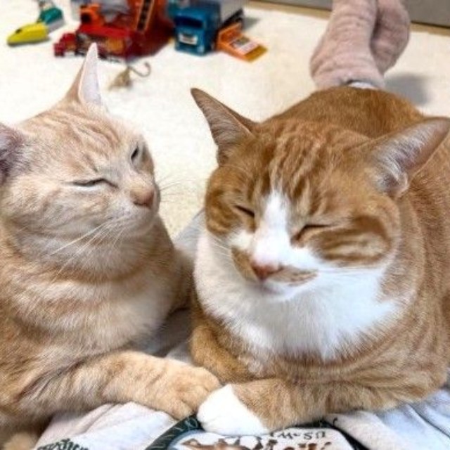 はくくとなぎくん（「ʜᴀᴋᴜ ɴᴀɢɪ」さん提供、Instagramよりキャプチャ撮影）