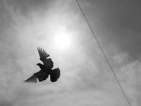 海外で働きたい。ドバイで叶えた長年の夢は1ヶ月で幕を閉じたけれど