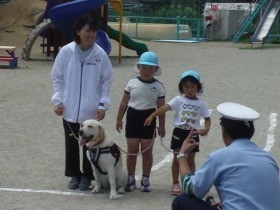 介助犬が「犬のお巡りさん」　交通安全教室で子どもに大人気