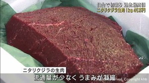 ニタリクジラ生肉　過去最高の１キロ当たり４０万円で取引　仙台市中央卸売市場