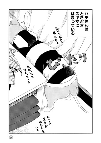 隙間にぴったり、後戻りはしない。「じじ柴ハチさんは、今日も生きています。」より（竹書房提供）