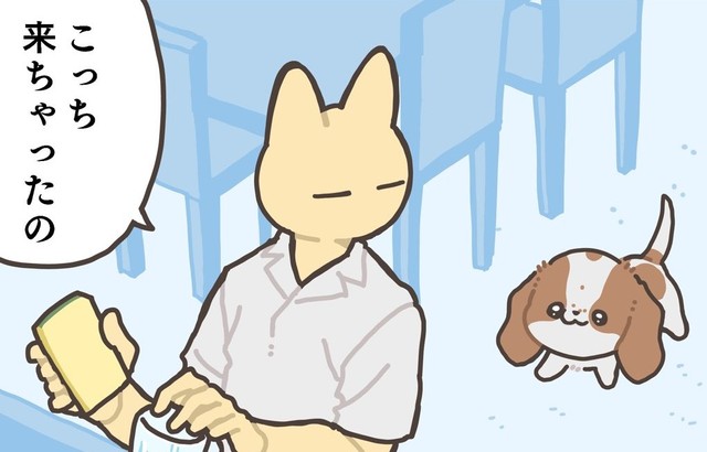 キッチンに現れる子犬（ヤシンさん提供）