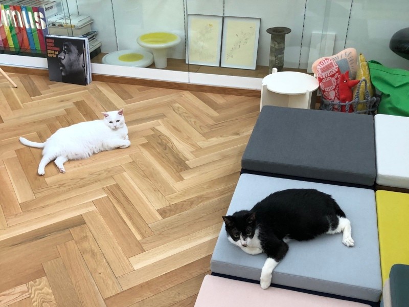 寒い季節じゃないと距離のあるギルとマロン