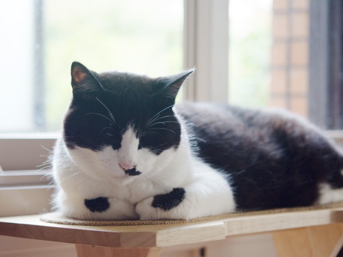 「まわるおすしが食べたいな」（小林写函撮影）