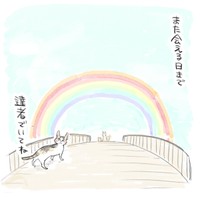 『私のお姫さま』63