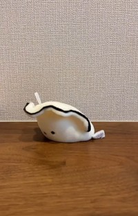 穴に吸い込まれていく！？（「保護猫あぶら&ぽんず」さん提供、Instagramよりキャプチャ撮影）