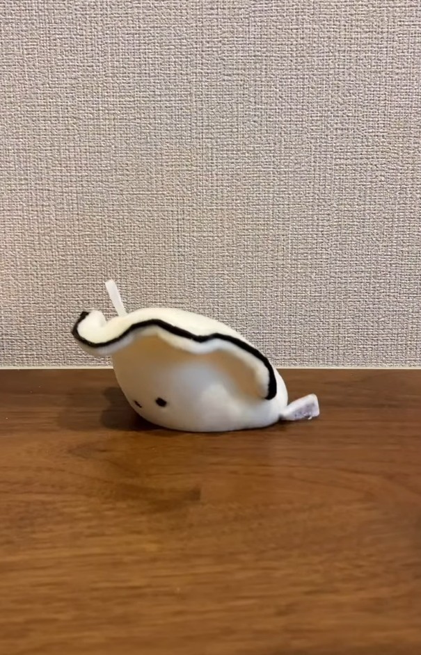 穴に吸い込まれていく！？（「保護猫あぶら&ぽんず」さん提供、Instagramよりキャプチャ撮影）