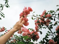 子の発熱で早退を詫びる同僚、事務員を「女の子」と呼ぶ上司。行き止まりを感じた