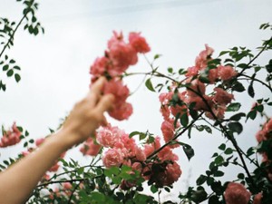 子の発熱で早退を詫びる同僚、事務員を「女の子」と呼ぶ上司。行き止まりを感じた