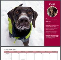 デンバー国際空港で活躍するチョーキー　(C)TSA