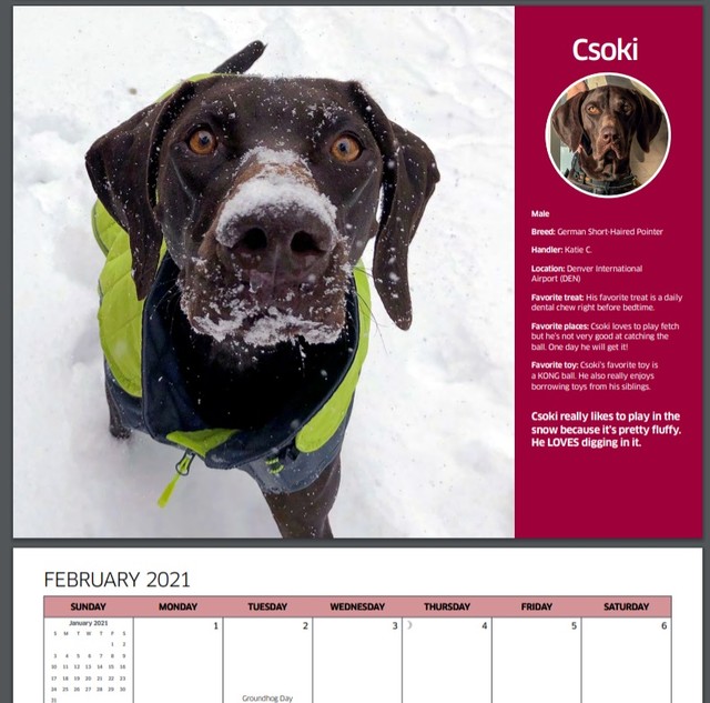 デンバー国際空港で活躍するチョーキー　(C)TSA