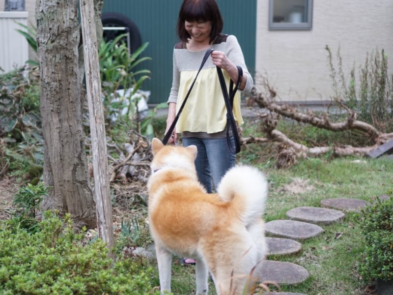 今日はどこに散歩にいこうか