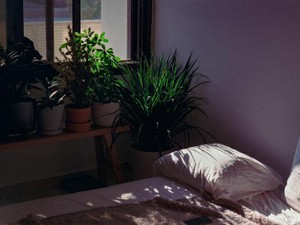 投稿を始めて9年。ミュート、制限機能で保つSNSと快適な距離感